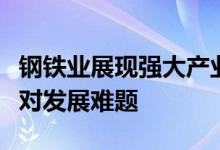 钢铁业展现强大产业韧性下半年将从五方面应对发展难题
