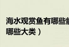 海水观赏鱼有哪些能人工繁殖（海水观赏鱼有哪些大类）