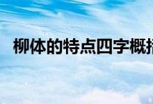 柳体的特点四字概括（柳体的特点是什么）