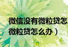 微信没有微粒贷怎么办 怎么回事（微信没有微粒贷怎么办）
