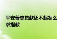 平安普惠贷款还不起怎么办 平安普惠的钱还不起了怎么办 求指教