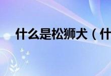 什么是松狮犬（什么是松狮犬（图文））