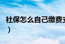 社保怎么自己缴费支付宝（社保怎么自己缴费）