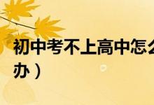初中考不上高中怎么办（初中考不上高中怎么办）