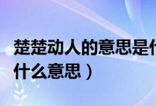 楚楚动人的意思是什么解释（楚楚动人动人是什么意思）