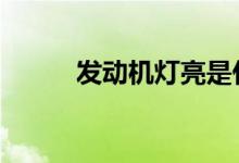 发动机灯亮是什么原因怎么解决 