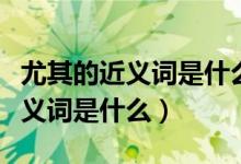 尤其的近义词是什么最佳答案（“尤其”的近义词是什么）
