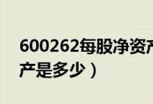 600262每股净资产（北方股份600262净资产是多少）
