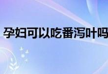 孕妇可以吃番泻叶吗（孕妇可以吃番石榴吗）