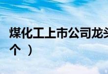 煤化工上市公司龙头股票有哪些（你抓住了几个 ）