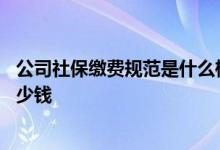 公司社保缴费规范是什么样的 企业养老保险社保缴费基数多少钱 