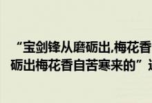 “宝剑锋从磨砺出,梅花香自苦寒来”的意思（“宝剑锋从磨砺出梅花香自苦寒来的”这句话的含义）
