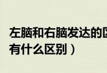 左脑和右脑发达的区别（左脑发达和右脑发达有什么区别）