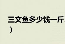 三文鱼多少钱一斤2020（三文鱼多少钱一斤）