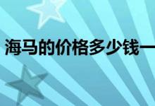 海马的价格多少钱一斤（来看看功效与禁忌）