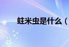 蛀米虫是什么（蛀米虫是什么意思）