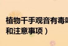 植物千手观音有毒吗（千手观音植物养殖方法和注意事项）
