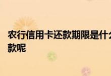 农行信用卡还款期限是什么时候 请问农行信用卡什么时候还款呢