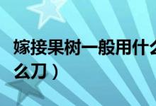嫁接果树一般用什么粘木（嫁接果树一般用什么刀）