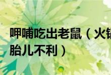 呷哺吃出老鼠（火锅吃出老鼠孕妇担心感染对胎儿不利）