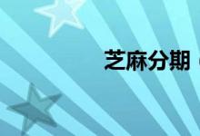 芝麻分期（芝麻分借贷）