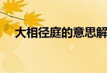 大相径庭的意思解释（大相径庭的意思）