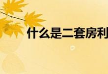 什么是二套房利率（什么是二套房）
