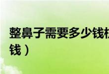 整鼻子需要多少钱杭州美莱（整鼻子需要多少钱）