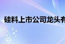 硅料上市公司龙头有哪些硅料股票概念一览