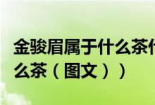 金骏眉属于什么茶什么时候喝（金骏眉属于什么茶（图文））