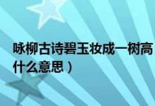 咏柳古诗碧玉妆成一树高（咏柳的诗句：碧玉妆成一树高是什么意思）