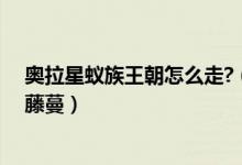 奥拉星蚁族王朝怎么走?（奥拉星蚁族王朝下水道怎摸打开藤蔓）