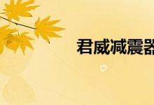  君威减震器漏油怎么解决 