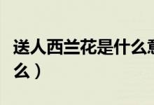 送人西兰花是什么意思（送西兰花的含义是什么）