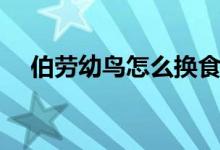 伯劳幼鸟怎么换食（伯劳幼鸟怎么喂养）
