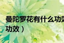 曼陀罗花有什么功效与作用（曼陀罗花有什么功效）