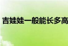 吉娃娃一般能长多高（吉娃娃一般能活多久）
