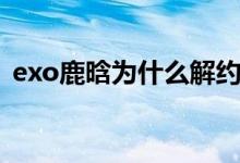 exo鹿晗为什么解约（exo鹿晗为什么解约）