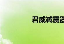  君威减震器漏油怎么处理 
