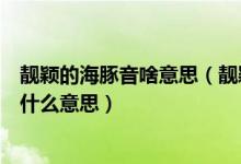 靓颖的海豚音啥意思（靓颖的海豚音在你面前也不过如此是什么意思）