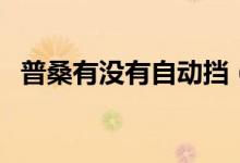普桑有没有自动挡（普桑有没有自动档的）