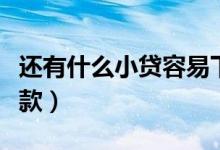 还有什么小贷容易下的（还有哪些小贷可以下款）
