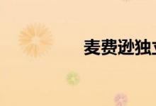 麦费逊独立悬架是什么 