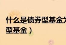 什么是债券型基金为什么会亏损（什么是债券型基金）