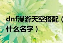 dnf漫游天空搭配（DNF中漫游的天空套装叫什么名字）
