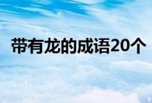 带有龙的成语20个（带有龙的成语有哪些）