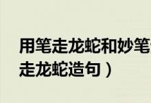 用笔走龙蛇和妙笔生花造句（用美不胜收.笔走龙蛇造句）