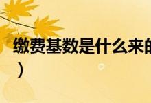 缴费基数是什么来的（缴费基数是什么意思啊）