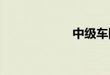  中级车降价排行榜 