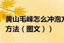 黄山毛峰怎么冲泡方法（黄山毛峰的正确冲泡方法（图文））